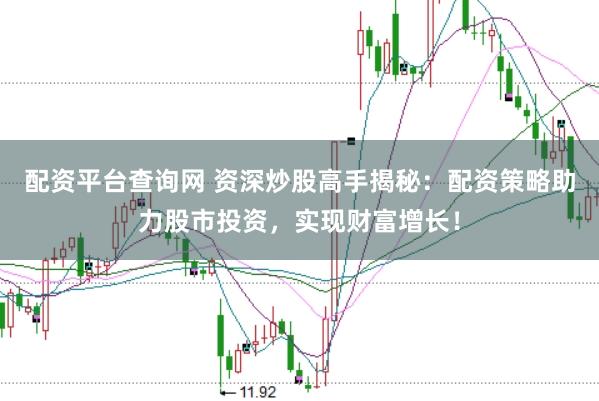 配资平台查询网 资深炒股高手揭秘：配资策略助力股市投资，实现财富增长！