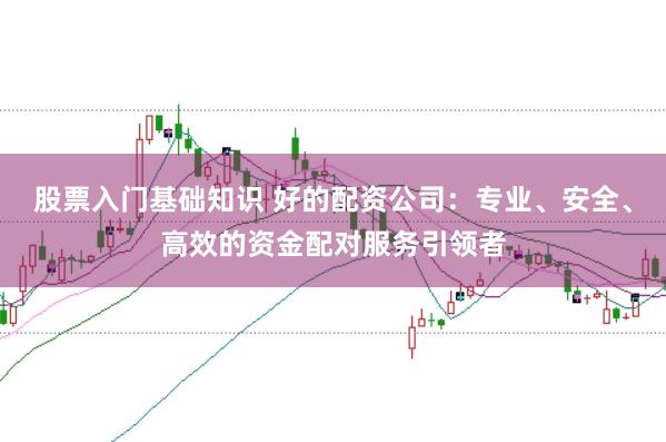 股票入门基础知识 好的配资公司：专业、安全、高效的资金配对服务引领者