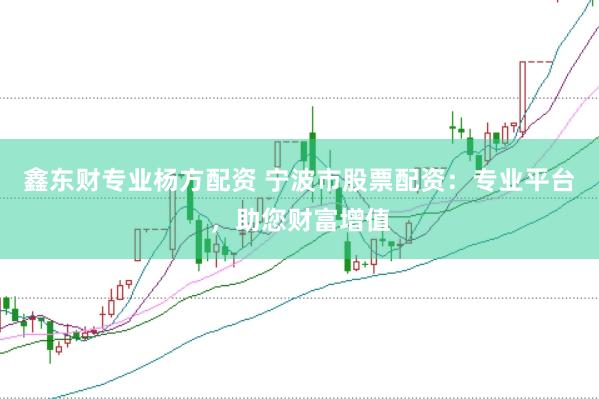 鑫东财专业杨方配资 宁波市股票配资：专业平台，助您财富增值