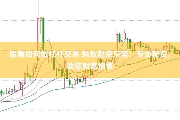 股票如何做杠杆交易 蚂蚁配资东莞：专业配资，助您财富增值