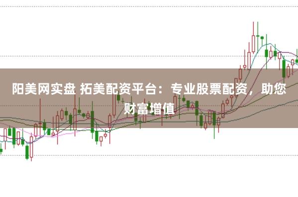 阳美网实盘 拓美配资平台：专业股票配资，助您财富增值
