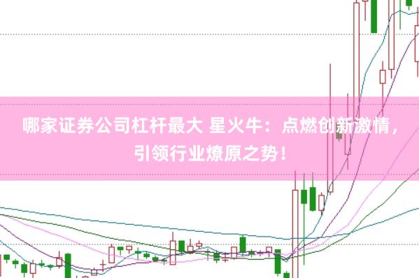 哪家证券公司杠杆最大 星火牛：点燃创新激情，引领行业燎原之势！