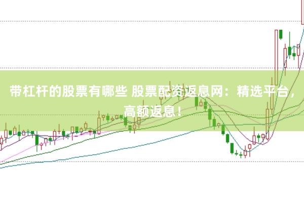 带杠杆的股票有哪些 股票配资返息网：精选平台，高额返息！