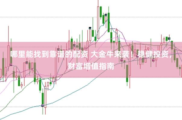 哪里能找到靠谱的配资 大金牛来袭！稳健投资，财富增值指南