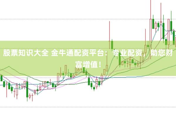 股票知识大全 金牛通配资平台：专业配资，助您财富增值！