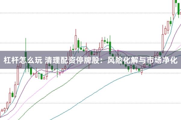 杠杆怎么玩 清理配资停牌股：风险化解与市场净化