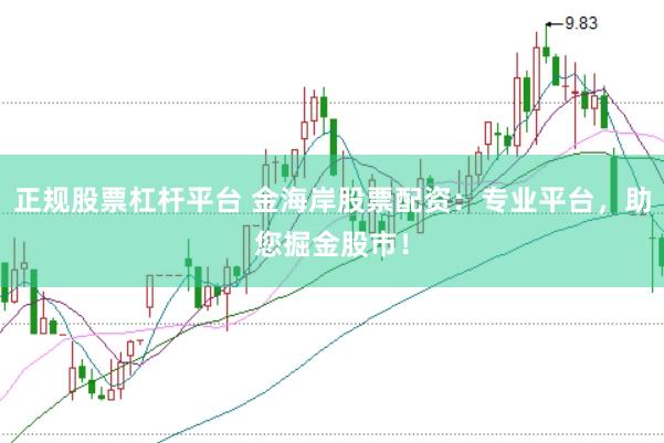 正规股票杠杆平台 金海岸股票配资：专业平台，助您掘金股市！