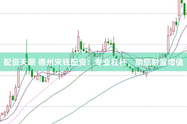 配资天眼 德州宋钱配资：专业杠杆，助您财富增值