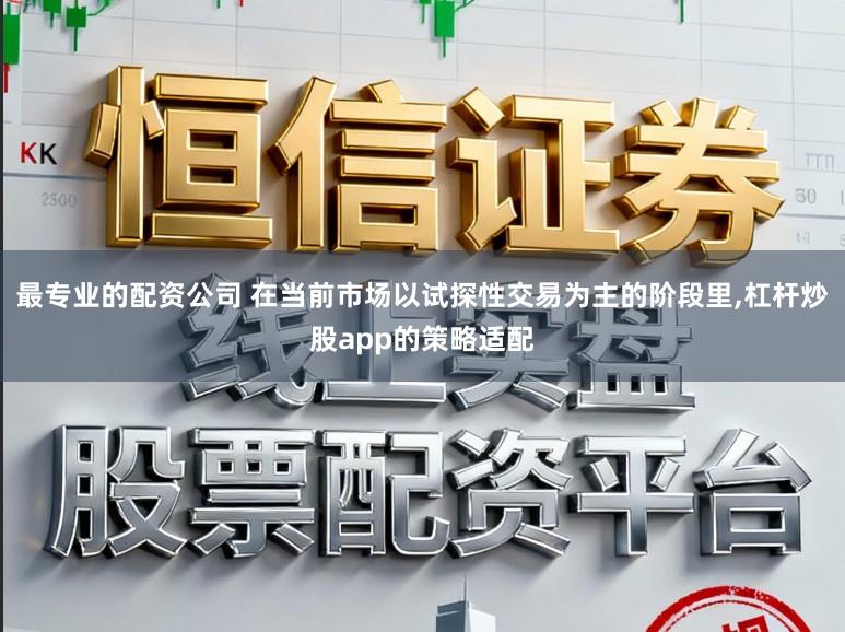 最专业的配资公司 在当前市场以试探性交易为主的阶段里，杠杆炒股app的策略适配