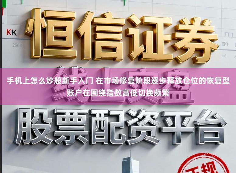 手机上怎么炒股新手入门 在市场修复阶段逐步释放仓位的恢复型账户在围绕指数高低切换频繁