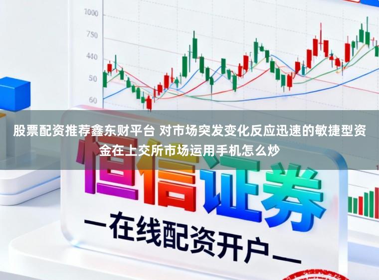 股票配资推荐鑫东财平台 对市场突发变化反应迅速的敏捷型资金在上交所市场运用手机怎么炒