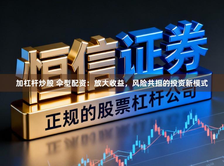 加杠杆炒股 伞型配资：放大收益，风险共担的投资新模式