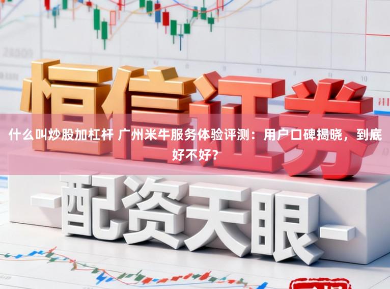 什么叫炒股加杠杆 广州米牛服务体验评测：用户口碑揭晓，到底好不好？